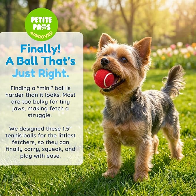 Squeaky Mini Tennis Balls for Small Dogs Puppy - 1.5 Inch - 6 Pack - Dog Toys for Small Dogs, Training Positive Reinforcement, Interactive Fetch Tiny Squeaker Balls for Ball Launcher