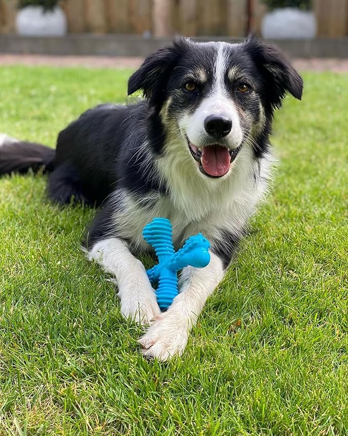 Nylabone Comfort Hold X-Bone Power Chew Toy for Dogs, Dog Toys for Aggressive Chewers, Beef Flavor, Large - Up to 50 lbs, 1 Count