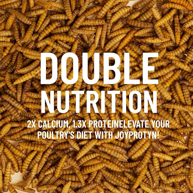 10LB Non-GMO Dried Black Soldier Fly Larvae for Chickens – 85X More Calcium Grubs Than Mealworms for Strong Eggshells & Healthy Growth - High Protein for Chickens, Birds, Ducks, Geese & Pets