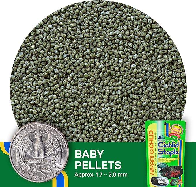 Hikari Cichlid Staple Floating Baby Pellets for Pets, 2-Ounce