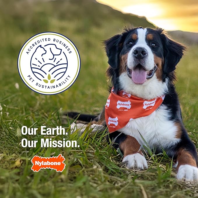 Nylabone Love Our Oceans Frenzy Bone Power Chew Toy for Dogs, Recycled & Sustainable Dog Chew Bones, Made in USA, Bacon & Cheese Flavor, Extra-Large Dog Toys - 50+ lbs, 1 Count