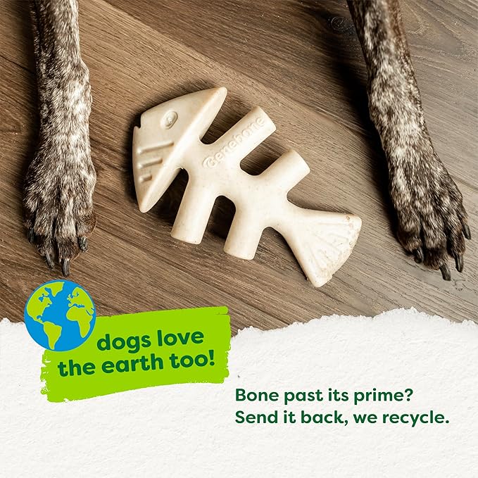 Benebone Green: Plant-Based Real Salmon Fishbone Dog Chew Toy for Small Dogs, Dog Bones for Moderate Chewers, Made in USA
