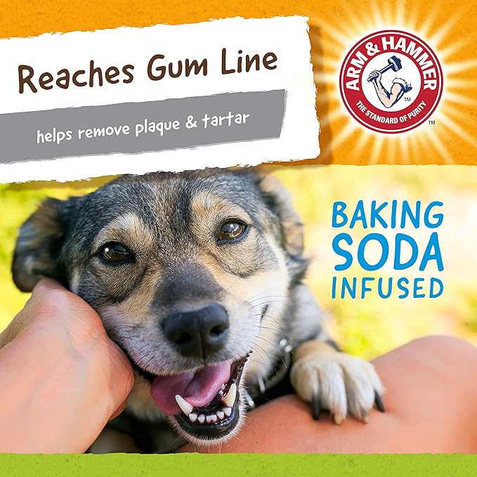 Arm & Hammer Nubbies Duality Bone Dog Dental Chew Toy, Green Apple Flavor, Baking Soda Infused, Nubby Grooves Reduce Plaque and Tartar, No Stuffing, for Moderate Chewers