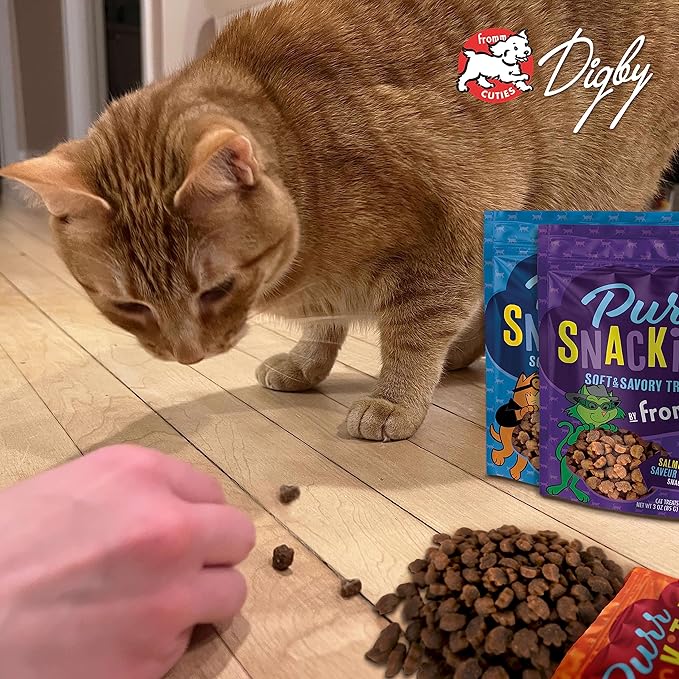 Fromm PurrSnackitty Liver Flavor Snackitties Treats - Premium Soft & Savory Cat Treats - Pack of (3) 3 oz Bags
