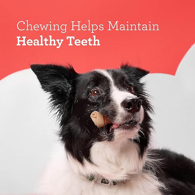 DreamBone Mini Chews for Dogs, Treat Your Dog to Easy-to-Digest Rawhide-Free Chews Made With Real Chicken, 24 Count