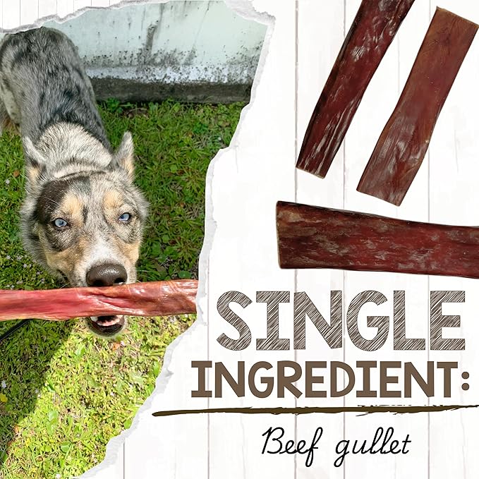Nature Gnaws Beef Gullet Chews for Large Dogs 9-10" (50 Count) - Natural Beef Jerky Stick Dog Chew Treats - Rawhide Free