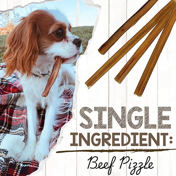 Nature Gnaws Extra Thin Bully Sticks for Small Dogs 5-6" (50 Count) - Long Lasting for Light Chewers and Puppies - Natural Beef Dog Chew Bone