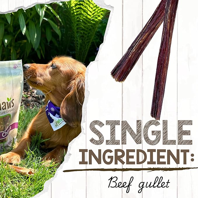 Nature Gnaws Beef Gullet Sticks for Dogs 5-6" (15 Count) - Natural Beef Jerky Stick Dog Chew Treats - Rawhide Free