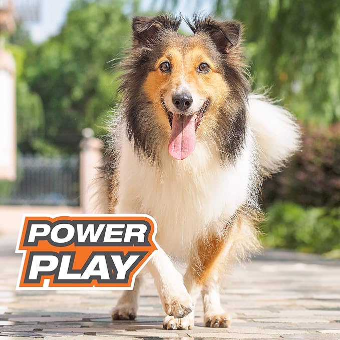 Nylabone Power Play Felt Football Gripz Fetch Toy, Squeaky Ball Chew Toy for Dogs, Medium (1 Count)