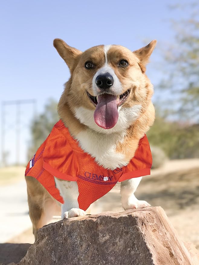 NCAA College Clemson Tigers Mesh Jersey for Dogs & Cats, X-Large. Licensed Big Dog Jersey with Your Favorite Football/Basketball College Team (Pack of 2)