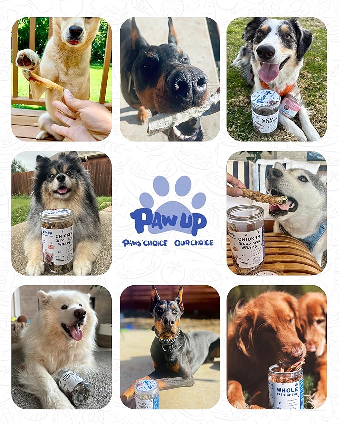 PAWUP Dog Treats Chicken & Fish, High in Protein and Omega-3, for Large Small Dogs, 10.5 oz