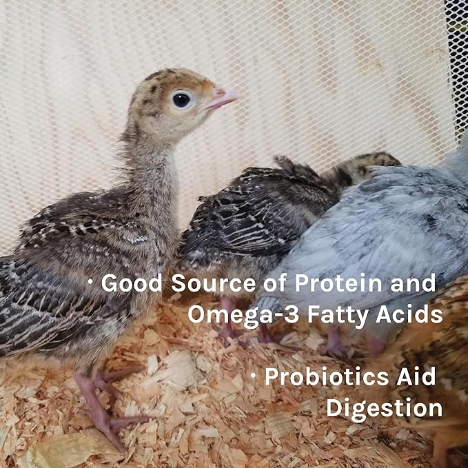 New Country Organics | Turkey Starter Feed 40 lbs I Turkey Feed for Poults and Chicks | Soy-Free | 26% Protein | Certified Organic and Non-GMO Turkey Food
