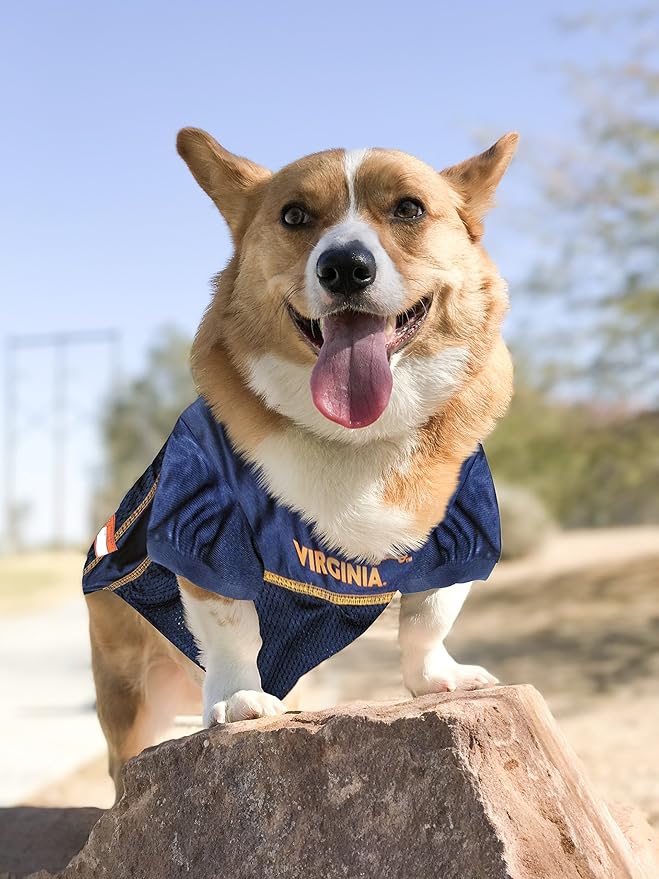 Pets First NCAA College Virginia Cavaliers Mesh Jersey for DOGS & CATS, Large. Licensed Dog Jersey with your Favorite Football/Basketball College Team