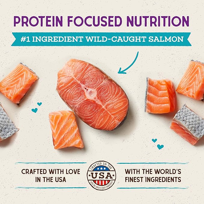 Stella & Chewy's Raw Coated Cat Food - High Protein, Grain-Free Kibble with Wild-Caught Salmon - Premium Digestive Support with Probiotics - Natural Small Kibble - Perfect For Picky Eater - 10 lb Bag