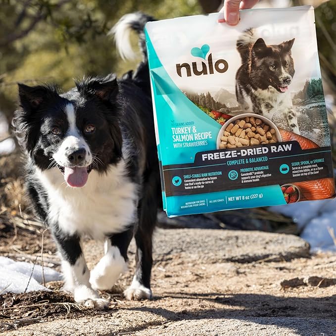 Nulo Freeze-Dried Raw Lamb Recipe with Raspberries Complete and Balanced Dry Dog Food Kibble, 8 Ounce Bag