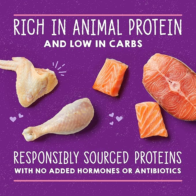 Stella & Chewy's Carnivore Cravings Purrfect Paté - Premium Grain-Free Wet Cat Food - Chicken & Salmon Recipe - High Protein with Bone Broth - Perfect for Picky Eaters - 5.2oz Cans (24 Pack)