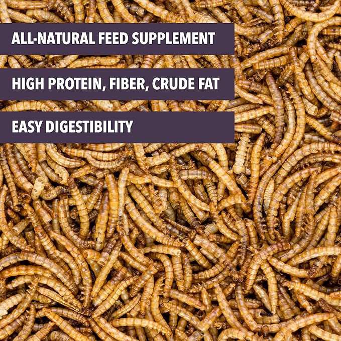 Worm Nerd WN61 10LB Dried Mealworms Non-GMO High Protein and Fiber Treat for Chickens, Birds, Reptiles, Amphibians, Fish., 10 POUNDS