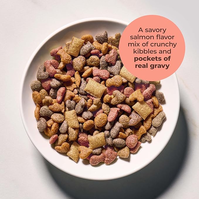 Meow Mix Gravy Bursts, Savory Salmon Flavor Kibble Mix, Gravy Filled Dry Cat Food, 3 lb. Bag