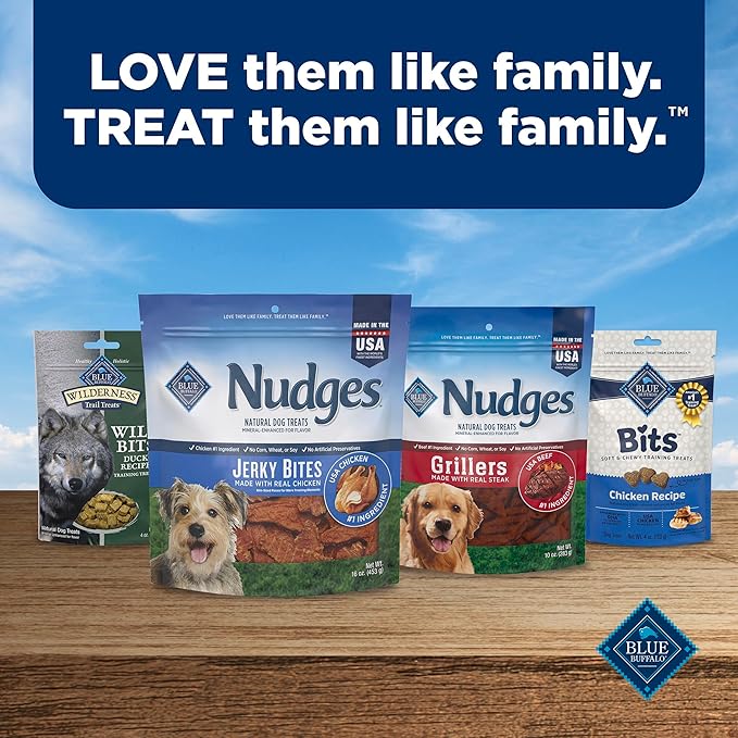 Blue Buffalo Nudges Jerky Bites Dog Treats, Made in the USA with Natural Ingredients, Bite-Sized Pieces, Chicken, 16-oz Bag