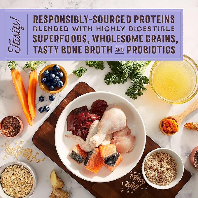 Stella & Chewy's SuperBlends Raw Coated Wholesome Grains Puppy Cage-Free Chicken & Wild-Caught Salmon Recipe with Superfoods, 21 lb. Bag