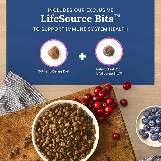 Blue Buffalo Life Protection Formula Natural Grain Free Small Breed Adult Dry Dog Food, with Chicken and Potatoes, 4 lb. Bag