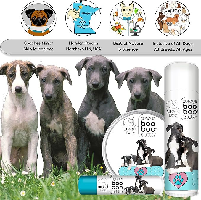 The Blissful Dog Greyhound Boo Boo Butter, 0.15-Ounce