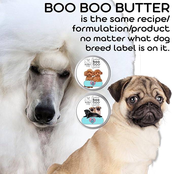 The Blissful Dog Havanese Boo Boo Butter, 0.15-Ounce