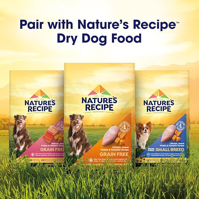 Nature's Recipe Grain Free Chicken & Lamb Recipe in Savory Broth Wet Dog Food, 2.75 oz. Cup, 12 Count