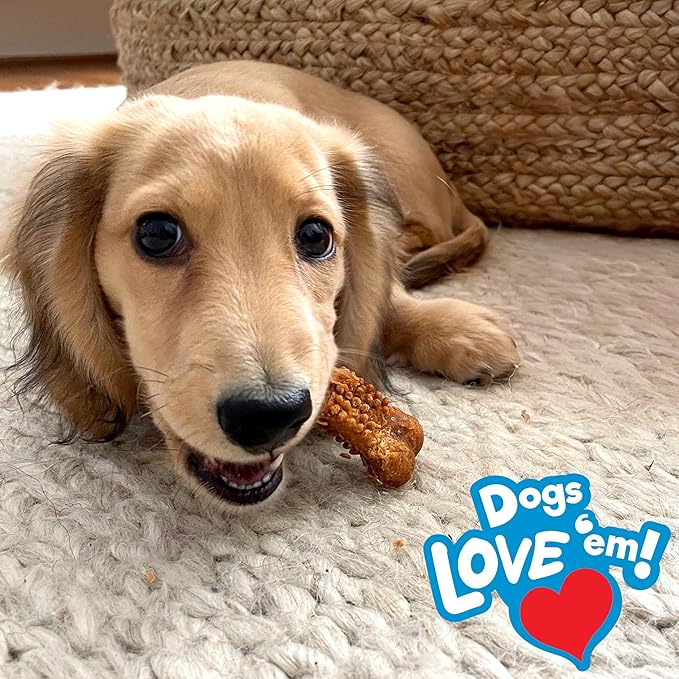 Nylabone Nubz Natural Dog Chew Treats for Puppies, Long Lasting Dog Chew Bones Made in USA, Puppy Training Treats, Turkey & Sweet Potato Flavor, for Small Dogs Up to 25 lbs. (8 Count)