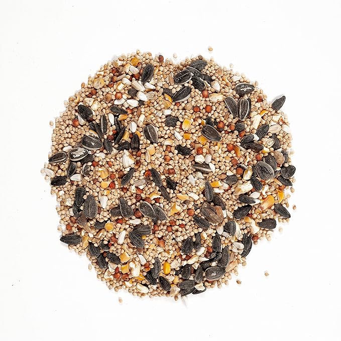 Wagner's Eastern Regional and Cardinal Wild Bird Food Bundles, 14-Pound