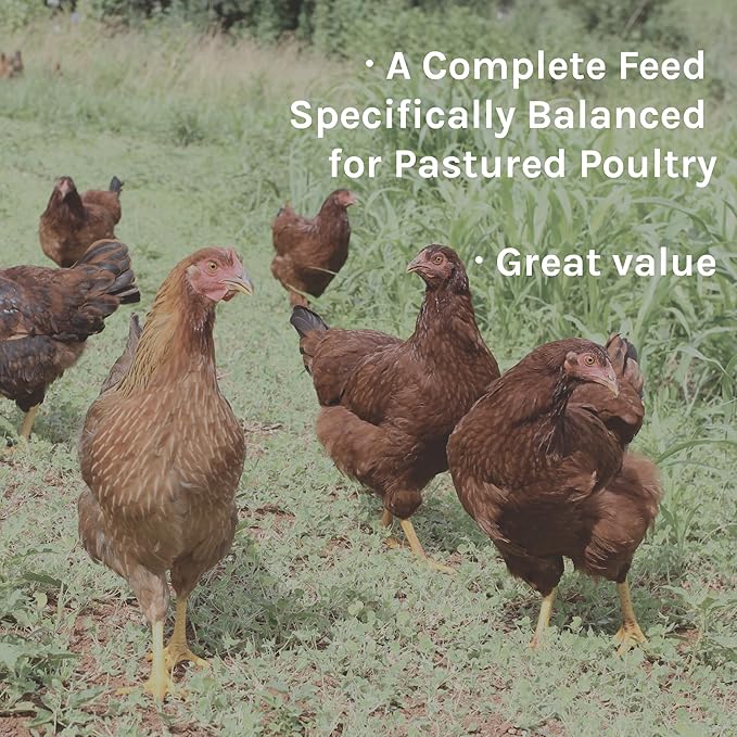 New Country Organics I Pastured Perfect Layer Feed for Laying Hens | Corn-Free and Soy-Free | 17% Protein | Certified Organic and Non-GMO | 40 lbs