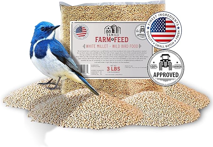 | Four Seasons | White Millet | Wild Bird Food | Backyard Songbird | 3 Pounds