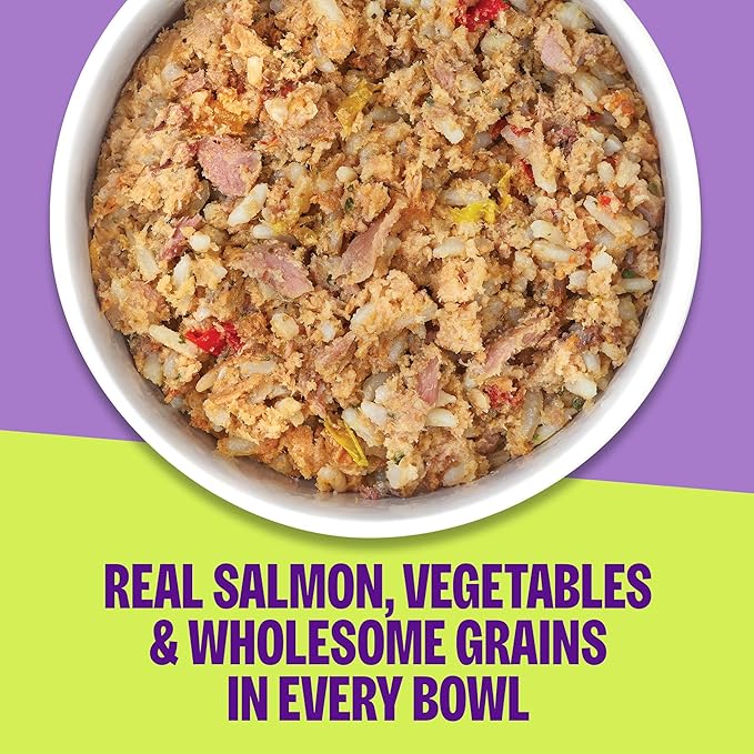Wellness Protein Bowls Adult Wet Dog Food, Fresh Alternative, Wholesome Grains, Natural, Salmon, Whitefish, and Rice Recipe, 6.2 oz, Pack of 6 Pouches