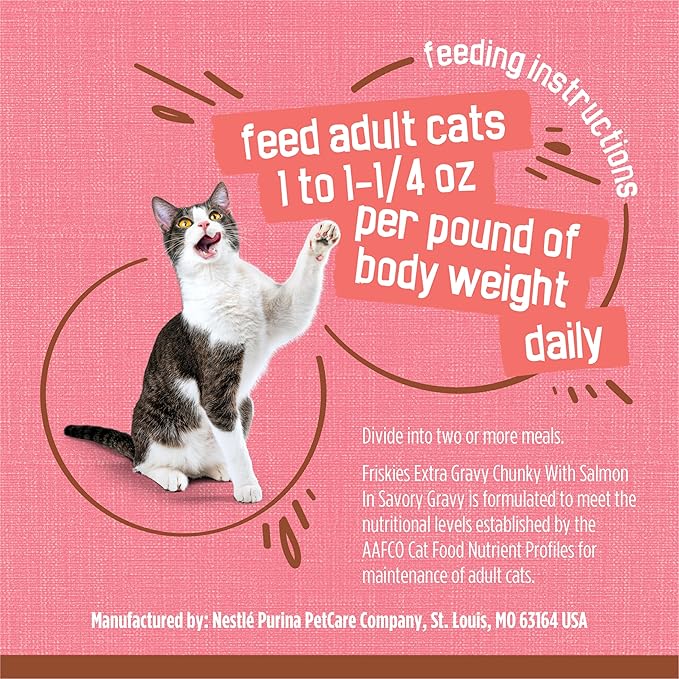 Friskies Purina Extra Gravy Wet Cat Food Chunky with Salmon in Savory Gravy - 5.5 oz. Cans,(Pack of 48)
