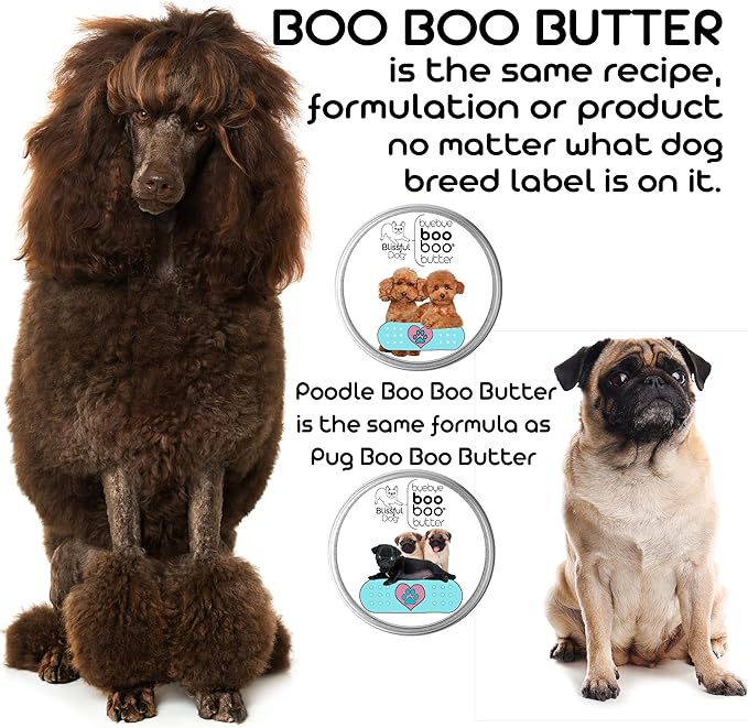 The Blissful Dog Coonhound Boo Boo Butter, 2-Ounce