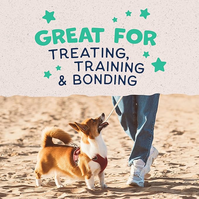 Natural Balance Limited Ingredient Rewards Crunchy Biscuits, Bite-Size Treats for Small-Breed Dogs, Made with Real Chicken, 8 Ounce, (Pack of 2)