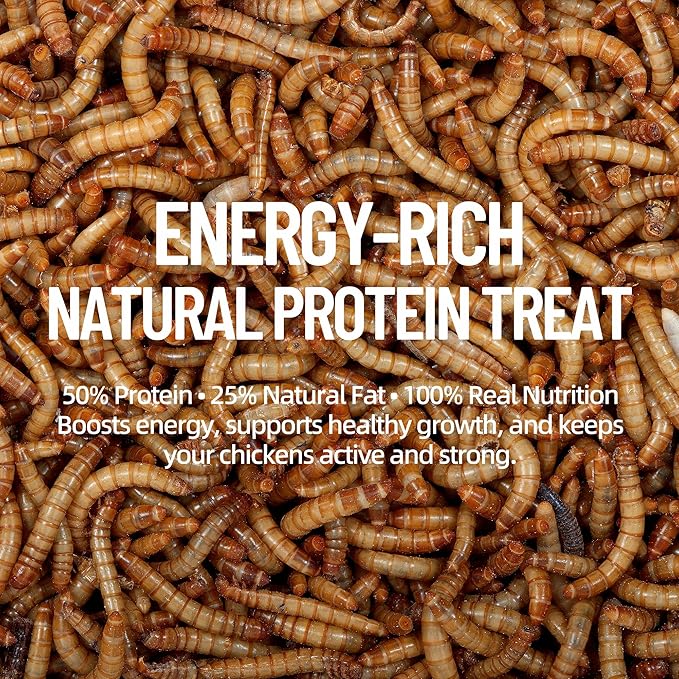 5LB Premium Non-GMO Dried Mealworms for Chickens, Ducks, Wild Birds, Quails & Reptiles High-Protein Natural Treats & Feed