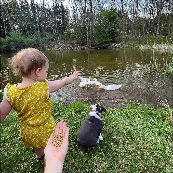 Natural Waterscapes Waterfowl Feed Open Water Diet 40 lb | for Feeding Ducks Geese Swans | Floating Pellets with Niacin for Ducks