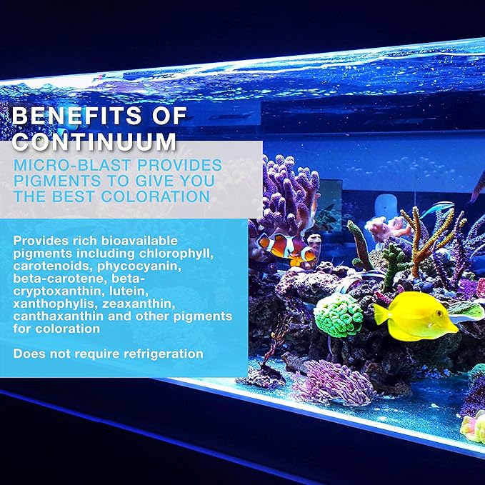 Continuum Aquatics Brightwell Aquatics Micro-Blast - invertebrate food for live corals, feather dusters, gorgonians, and other fine filter feeders, 500 ml