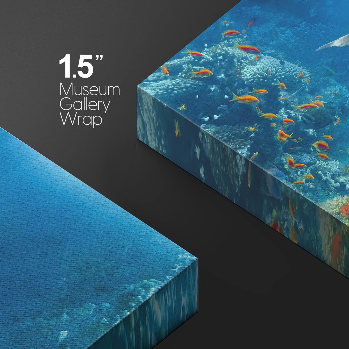 wall26 Canvas Print Wall Art Tropical Ocean Underwater Dolphin Coral Reef Nature Animals Photography Realism Rustic Scenic Landscape Wilderness Colorful for Living Room, Bedroom, Office - 12"x18"