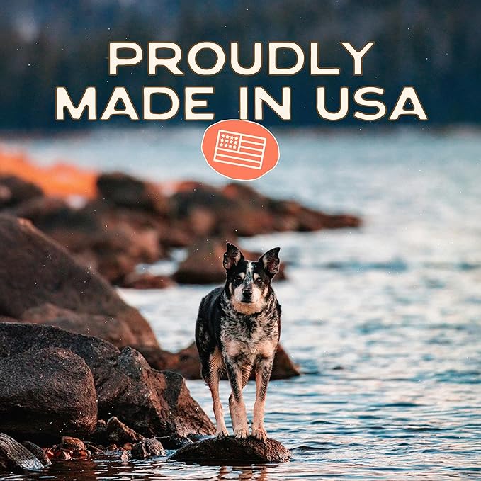 Smart Cookie Salmon Jerky Dog Treats - DHA, Omega Strips for Dogs & Puppies with Allergies, Sensitive Stomachs with Wild Caught Alaskan Salmon- Dehydrated, Grain Free, Made in USA - 3oz Bag, Pack of 3