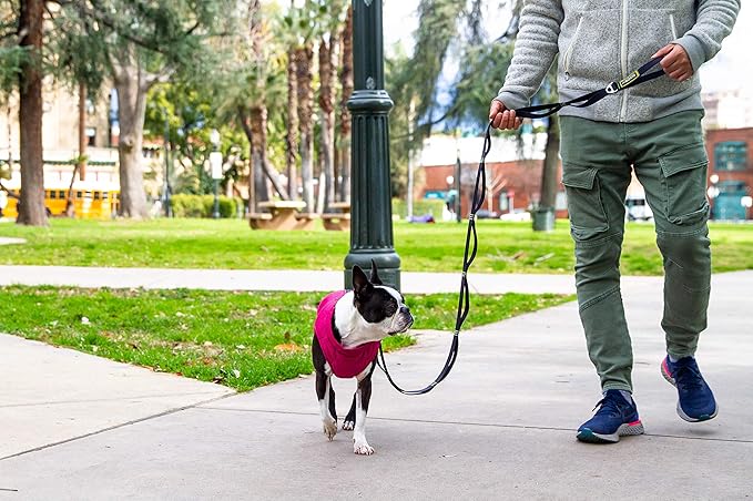 Gooby Puffer Vest Dog Jacket - Pink, X-Small - Ultra Thin Zip Up Wind Breaker with Dual D Ring Leash Water Resistant for Small to Medium Dogs
