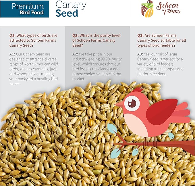 Schoen Farms Canary Seed ALPISTE (5 LBS)