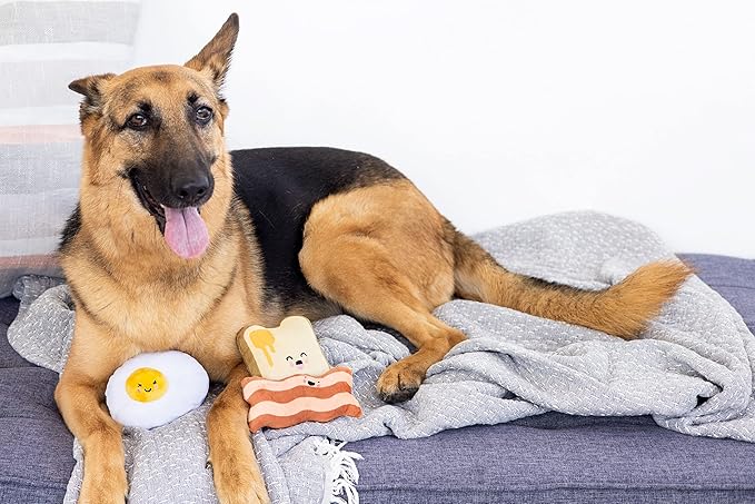 Pearhead Breakfast Dog Toy Set – 3-Piece Bunch Food Theme (Egg, Toast & Bacon) with Squeaker & Crinkle Paper – Interactive Pet Toy for Puppies & Dogs, Stocking Stuffer Ideas