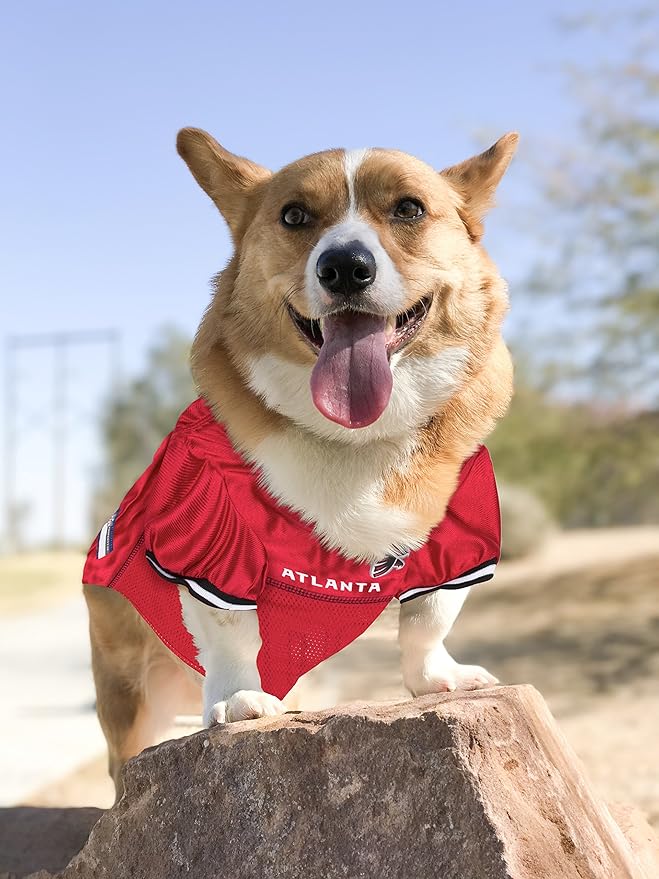 Atlanta Falcons Raglan Pet Jersey