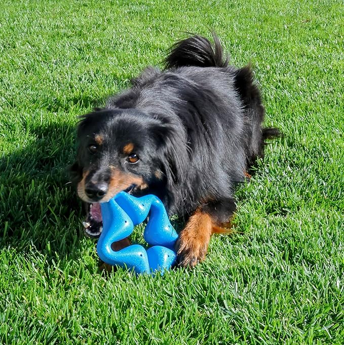 KONG Squeakz Dog Toy – Durable Rubber Fetch & Chew Toy with Squeakers, Interactive Enrichment Toy for Active Dogs (Star, Medium)