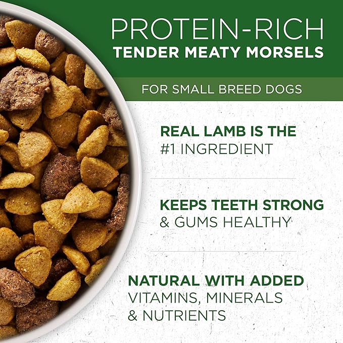 Purina Bundle Pack Small Breed Dog Food and Treats, ONE +Plus Lamb and Rice Formula with DentaLife Daily Oral Care