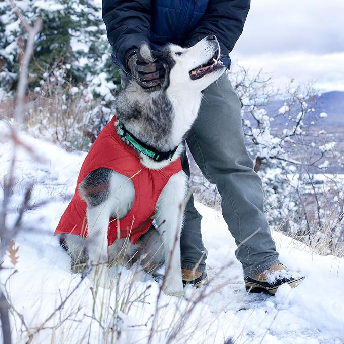 Kurgo Loft Dog Jacket - Reversible Cozy Coat for Outdoor Adventures - Water Resistant - Athletic Fit - Machine Washable Fabric - Reflective Dog Gear - Medium - Chili Red