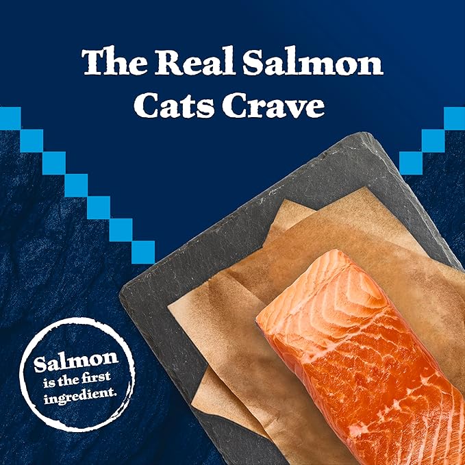 Blue Buffalo Wilderness High-Protein & Grain-Free Dry Food for Mature Adult Cats 7+, Made with Natural Ingredients, Salmon Recipe, 5lb Bag
