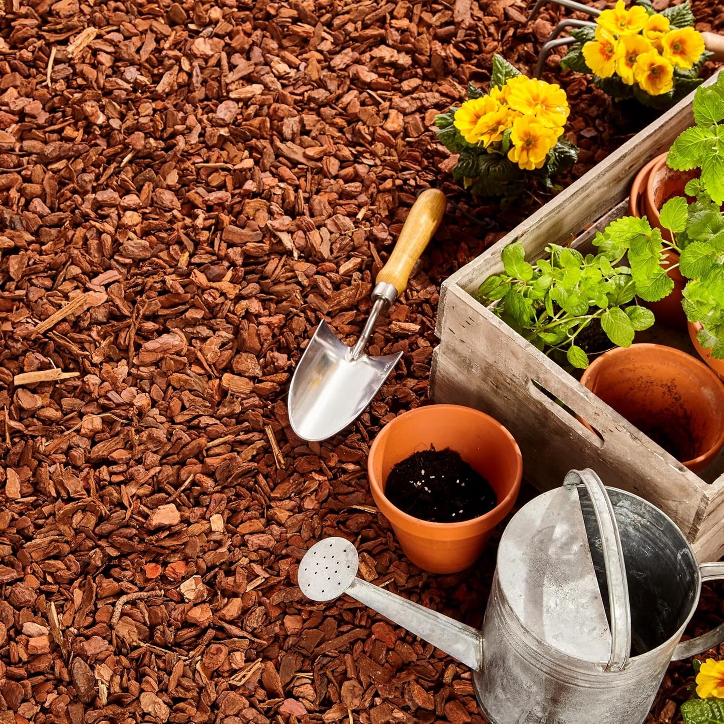 Premium Pine Bark Nuggets – Pine Bark Mulch for Gardens, Landscaping, Potted Plants, and Wood Chips for Garden Beds (0.2 CF - 4.8 L - 5 QTS)